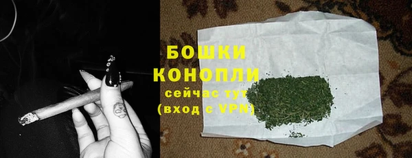 прущие грибы Верея
