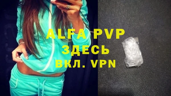 прущие грибы Верея