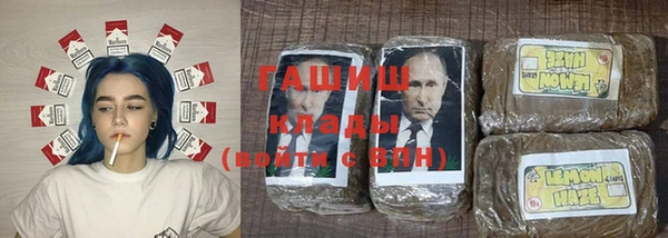 прущие грибы Верея
