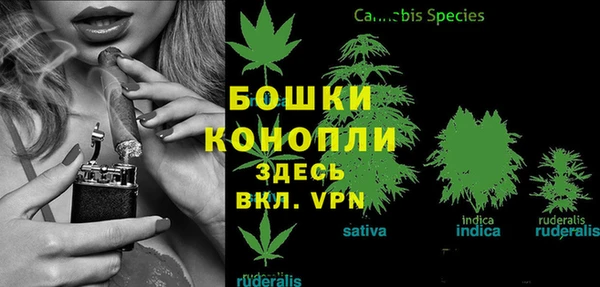 мдма Бородино