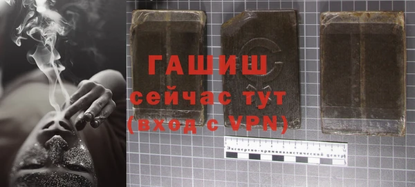прущие грибы Верея