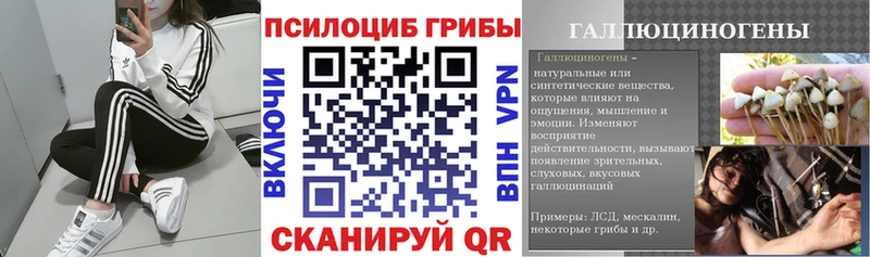 Купить где  Североуральск  Псилоцибиновые грибы прущие грибы 